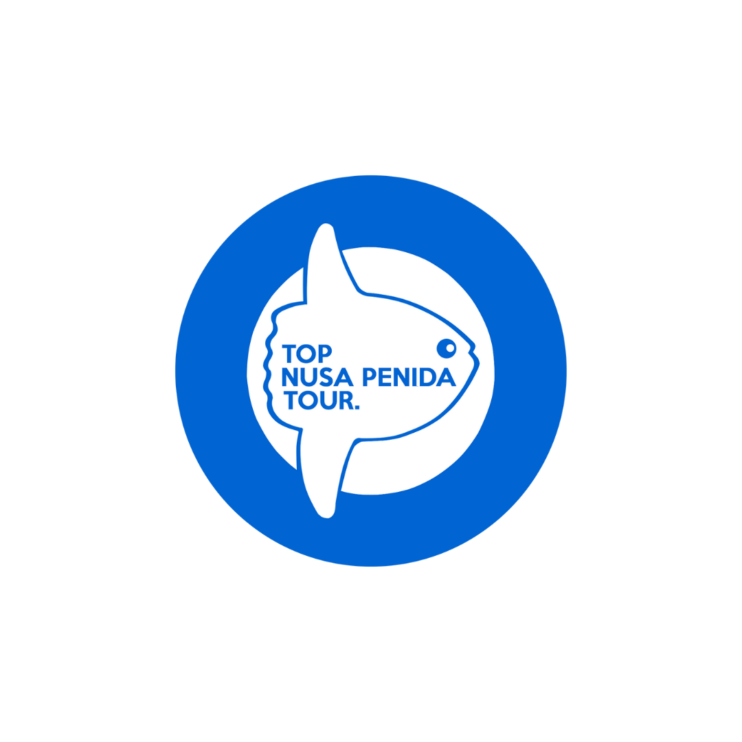 Top Nusa Penida Tour